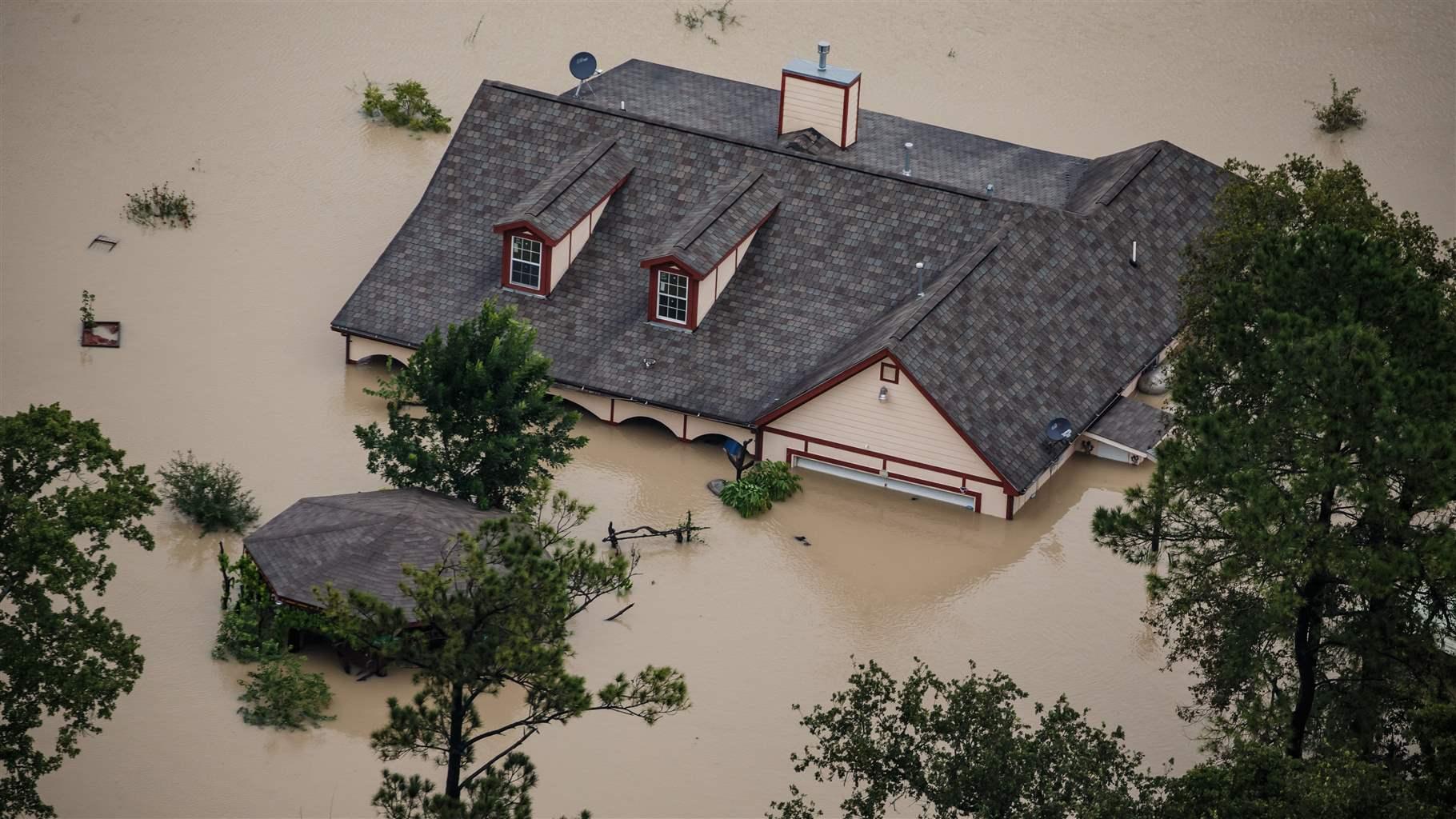 Water Damaged Homes