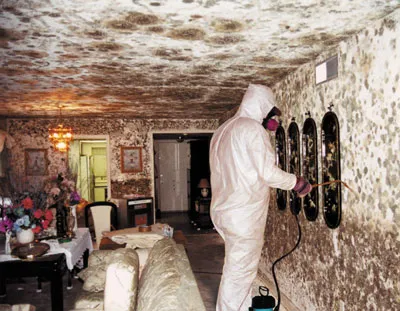 Mold Damaged Houses